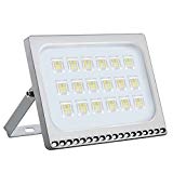 Missbee 100W Led Flood Light,New Craft Thinner Lighter Outdoor Security Light, 11000Lm, Cold White 6000-6500K, IP67 Waterproof, Landscape Spotlights garage, yard, lawn Garden (10 Pack) Review