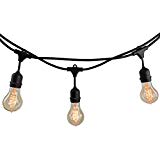 Bulbrite 810007 String10/E26/Black-NOSA19KT Indoor & Outdoor String Light w/Incandescent 25W Nostalgic Spiral A19 Bulbs, 14′, 10 Lights, Medium/E26 Base