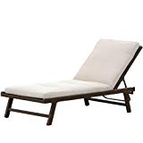 Christopher Knight Home 235474 Florida Adjustable Chaise Lounge Cushion, Brown, Beige