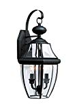 Sea Gull Lighting 8039EN-12 Lancaster Outdoor Fixture, Two, Black Finish