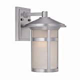 Acclaim 39102BS Phoenix Collection 1-Light Wall Mount Outdoor Light Fixture, Brushed Silver Review