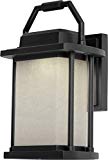 Artcraft Lighting Lemans Outdoor LED Wall Mount Porch Light, Black Review