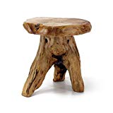 WELLAND Tree Stump Stool Live Edge, Natural Edge Side Table, Plant Stand, Nightstand, Mushroom Stool 14″ Tall Review WELLAND Tree Stump Stool Live Edge, Natural Edge Side Table, Plant Stand, Nightstand, Mushroom Stool 14″ Tall Review