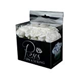 Cheap Fortune Products ROSE-100W Roses on a String Light, 10′ Length, Cool White Lights (Single Strand)