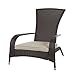 Patio Sense Coconino Wicker Adirondack Chair by Well Traveled Living
