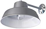 Canarm BL14CWS All Weather 1-Bulb Ceiling or Wall Mount All Weather Light with Clear Glass Globe, Grey Review
