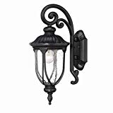 Acclaim 2202BK Laurens Collection 1-Light Wall Mount Outdoor Light Fixture, Matte Black For Sale