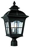 Trans Globe Lighting 5425 BK Outdoor Briarwood 25″ Postmount Lantern, Black