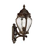 Acclaim 7005BC Nottingham Collection 3-Light Wall Mount Outdoor Light Fixture, Black Coral