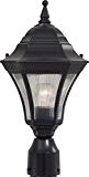 Minka Lavery Outdoor Post Lights 8206-94 Segovia Cast Aluminum Exterior Lighting Fixture, 100 Watts, Heritage Review