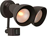 Cheap Craftmade Z402PM-07 Motion Light with No Shade, Rust Finish