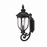 Acclaim 2211BC Laurens Collection 1-Light Wall Mount Outdoor Light Fixture, Black Coral