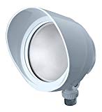 RAB Lighting BULLET12W LED Floodlight, 12W, 120V, 5000K, White For Sale