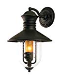 Troy One Light Wall Lantern Lighting B9360NB One Light Wall Lantern