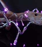 Cheap Fantado 100 Indoor/Dry Outdoor Pink LED Mini String Lights, 28FT Clear Cord, Multi-flicker Modes by PaperLanternStore