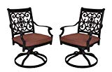Darlee St. Cruz Cast Aluminum Swivel Rocker Dining Chair Seat Cushion, Set of 2, Antique Bronze Finish Review