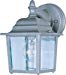 Side Door Outdoor Wall Lantern Finish: Pewter