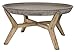 Safavieh Outdoor Collection Wynn Modern Concrete Round 18.1-inch Coffee Table