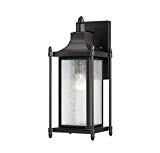 Cheap Savoy House 5-3451-BK, Dunnmore 16″ Outdoor Wall Lantern in Black