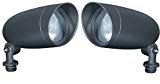 Nuvo Lighting 77/646 One Light PAR20 120 Volt Die Cast Aluminum Durable Outdoor Landscape Security Lighting Flood (Dark Bronze, Pair of 2)