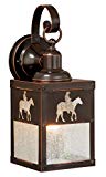Vaxcel One Light Outdoor Wall Sconce T0110 One Light Outdoor Wall Sconce Review