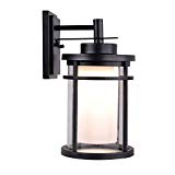 Cheap Home Decorators Collection, DW7178BK, LED Outdoor Black Medium Wall Light