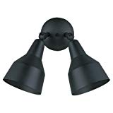 Cheap Sea Gull Lighting 8607-12 Flood Light Outdoor Fixture, Two, Black Finish