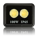 Lubao 100W COB Flood Light,4 LED Lights 20000lm Waterproof Super Bright 6000K White Light Spotlight Security Spotlights,High Power Wall Lights for Outdoor Garden Landscape Playground Review