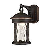 Designers Fountain EV7063-305 16 in. LED Olympic Bronze Outdoor Wall Lantern with Clear Hammered Glass Shade For Sale Designers Fountain EV7063-305 16 in. LED Olympic Bronze Outdoor Wall Lantern with Clear Hammered Glass Shade For Sale