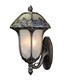 Special Lite Products Rose Garden F-3717-SW/AB Large Bottom Mount Light, Swedish Silver Review