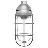 RAB Lighting VAPORPROOF 100 PENDANT 1/2″ WITH GLASS GLOBE WIRE GUARD For Sale