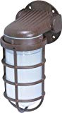 Nuvo Lighting SF76/621 Industrial Style Small Heavy Duty Aluminum Durable Outdoor Wall Mount Porch and Patio Light with Frosted Glass, Old Bronze For Sale