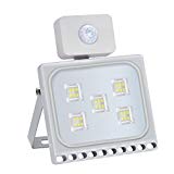 Missbee 30W LED Motion Sensor Flood Lights, Thinner Lighter Outdoor Work Light, Waterproof IP67, 3300LM, Super Bright PIR Security Lights, Cold White (6000-6500K) Review