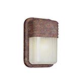 Transglobe Lighting PL-41105 RT Outdoor Bulkhead Fixture with Clear Ribbed Polycarbonate Shade, Rust Finished Review