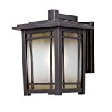 Home Decorators Collection Port Oxford 1-light Oil Rubbed Chestnut Outdoor Wall Mount Lantern Review