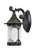 Chestnut 1 Light 7in. Cast Aluminum Wall Lantern from the Canyon Lake Collection