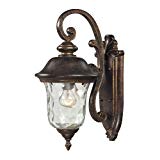 Elk 45020/1 8 by 16-Inch Lafayette 1-Light Outdoor Wall Sconce with Blown Water Glass Body, Regal Bronze Finish