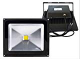 Spotlights Security Light Trendmart® LED Flood Light Warm White 30w Waterproof IP65 Landscape Lights Outdoor Lighting Garden Light Come with Us Standard 3 Pin Plug (30w ,Warm White with plug)