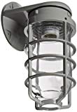 RAB Lighting VBR200DGS Vaporproof Glass Globe Cast Guard Incandescent Fixtures with Wall Mount Bracket, A19 Type, Aluminum, 200W Power, Silver For Sale