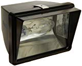 RAB Lighting FFH50 Metal Halide HID Future Floodlight, ED17 Type, Aluminum, 50W Power, 3400 Lumens, 120V, Bronze Color For Sale