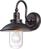 Minka Lavery Outdoor Wall Light 71163-143C Downtown Edison Exterior Wall Lantern, 75 Watts, Bronze