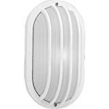 Progress Lighting P5705-30 Polycarbonate Light Mounted On Walls Only Indoors or Outdoors with No Color Fade, White Progress Lighting P5705-30 Polycarbonate Light Mounted On Walls Only Indoors or Outdoors with No Color Fade, White