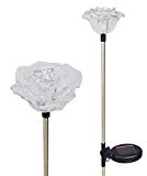 Solar Wholesale 1047 Roses Flower Lights, 2 Pack for Outdoor and Holiday Decorations Review
