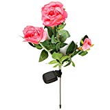 UEB Waterproof Solar Power 3 Rose Flower LED Light Garden Outdoor Yard Lamp Review UEB Waterproof Solar Power 3 Rose Flower LED Light Garden Outdoor Yard Lamp Review