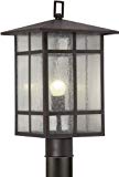 Forte Lighting 2025-01-32 Craftsman 1-Light Exterior Post Mount Lantern with Clear Seeded Glass, Antique Bronze Finish Forte Lighting 2025-01-32 Craftsman 1-Light Exterior Post Mount Lantern with Clear Seeded Glass, Antique Bronze Finish