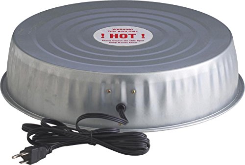 Cheap Little Giant 125 Watt Water Heater Base  HB125