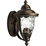 Progress Lighting P5920-108 1-Light Small Wall Lantern with Unique Cast Yoke Straps and Water Glass Urn Shades, Oil Rubbed Bronze