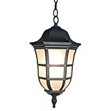 ETOPLIGHTING Le Noir Collection Matte Black Hanging Light, Ceiling Light Pendant with Frosted Glass Outdoor Lighting Fixture, Luxurious Finish Decoration Light, APL1860