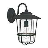 Cheap Capital Lighting 9602BK One Wall Lantern