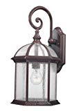 Design Trends 18004-342 Traditional Old Outdoor Wall Lantern with Clear Seedy Glass, Bronze, 1-Pack Review